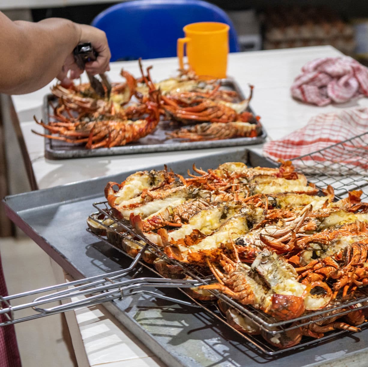 Fresh grilled lobster being prepared for guests