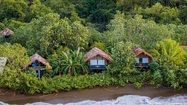 Beachfront cabins nestled in Pacific jungle