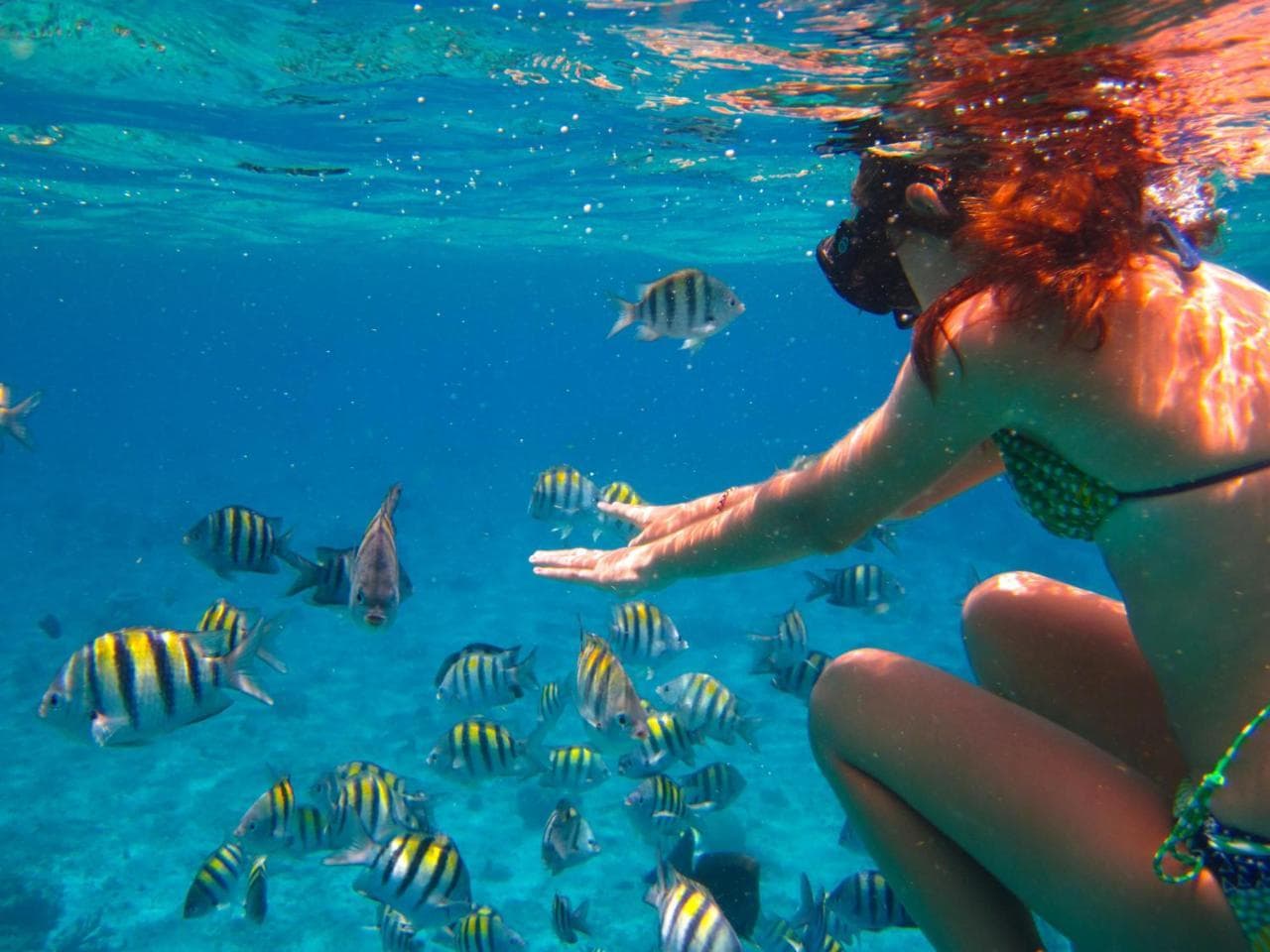 Guest snorkeling among reef fish near Himmafushi