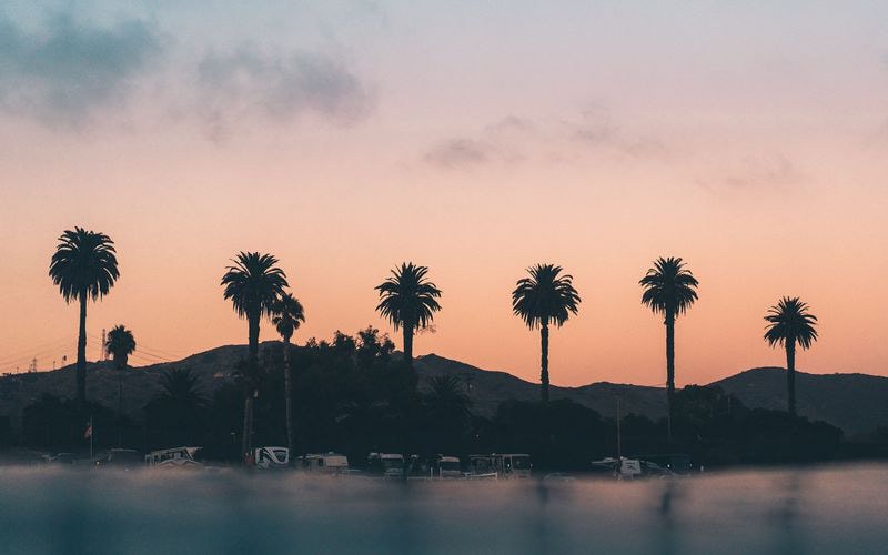 Palms in silhouette against an orange sky at dusk, hills behind