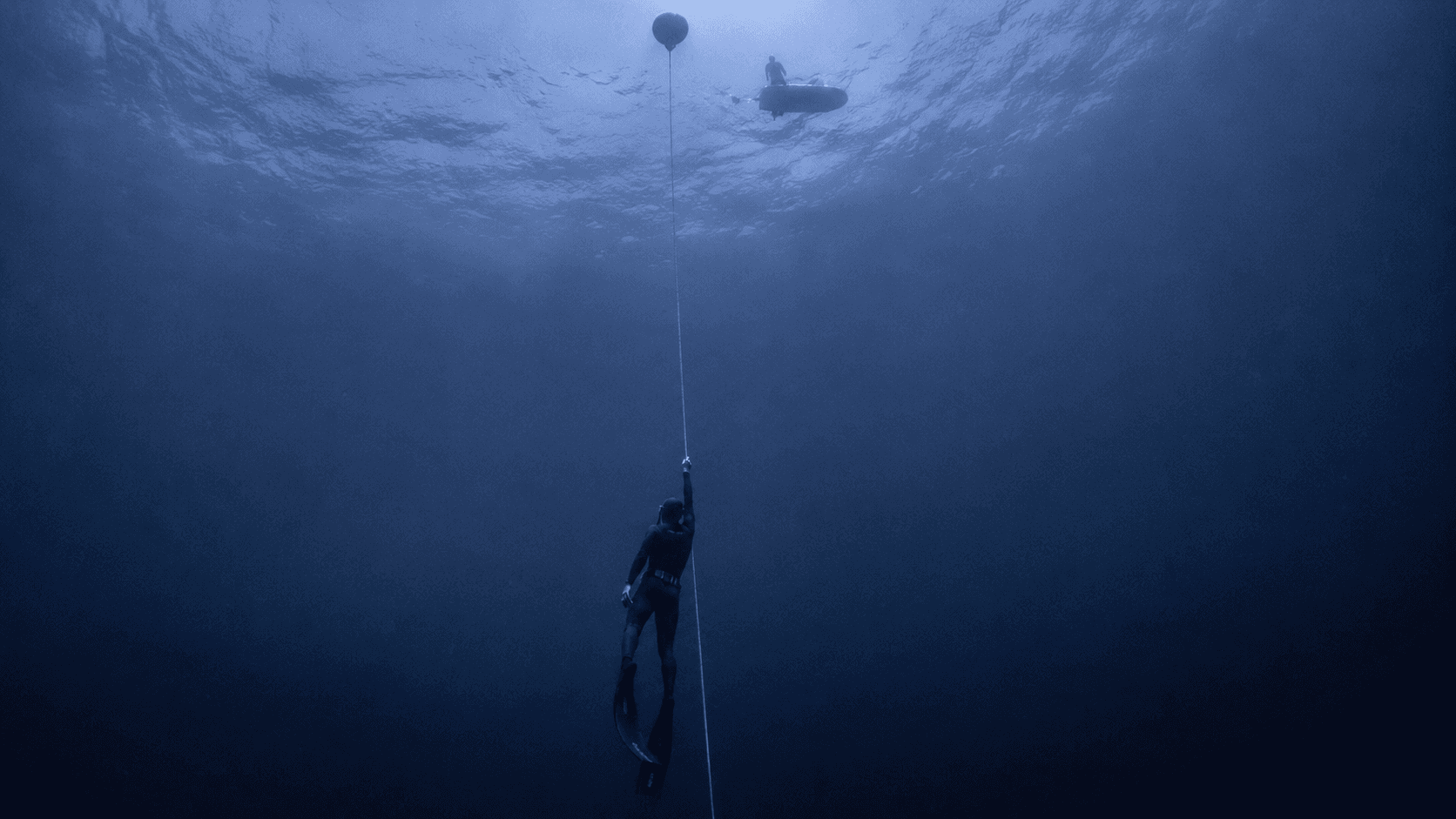 Marine Life Tracking