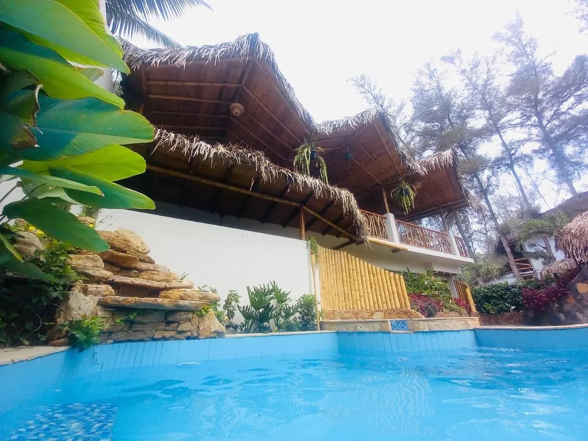 Garden pool at Tres Palmas beneath the palapa roofs