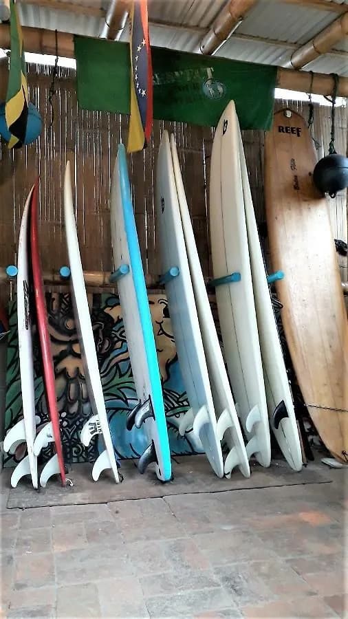 Rack of surfboards for rent at the on-site surf shop