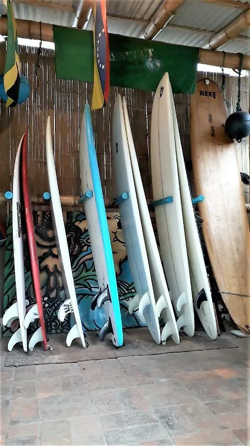 Rack of surfboards for rent at the on-site surf shop